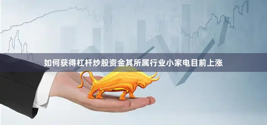 如何获得杠杆炒股资金其所属行业小家电目前上涨