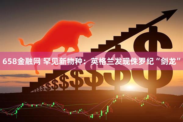 658金融网 罕见新物种：英格兰发现侏罗纪“剑龙”
