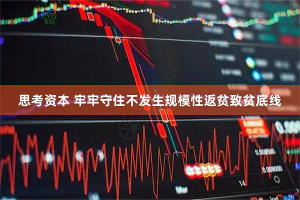 思考资本 牢牢守住不发生规模性返贫致贫底线