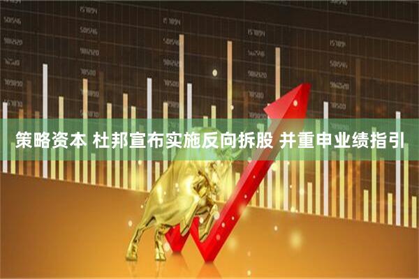 策略资本 杜邦宣布实施反向拆股 并重申业绩指引